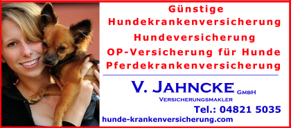 Hundekrankheiten